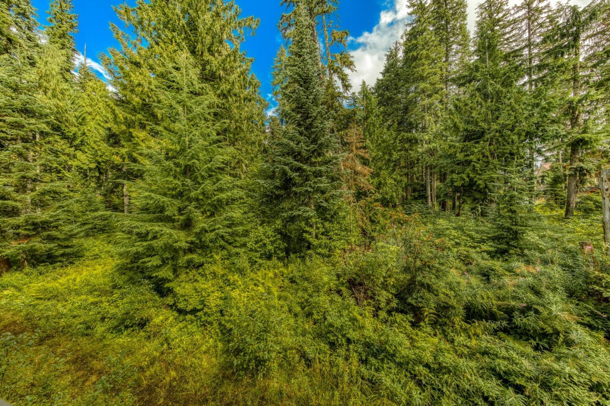 Collins Lake #112 ガバメント・キャンプ 部屋 写真